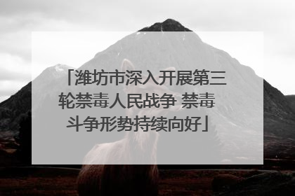 潍坊市深入开展第三轮禁毒人民战争 禁毒斗争形势持续向好