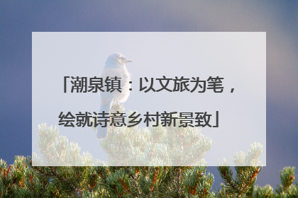 潮泉镇：以文旅为笔，绘就诗意乡村新景致