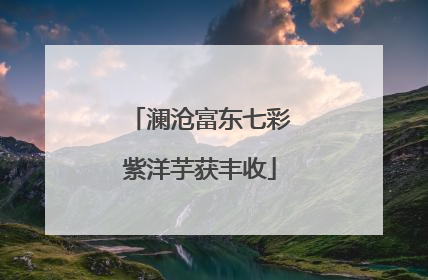 澜沧富东七彩紫洋芋获丰收