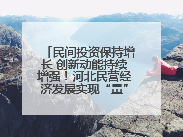 民间投资保持增长 创新动能持续增强！河北民营经济发展实现“量”“质”双提升