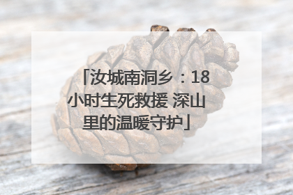汝城南洞乡：18小时生死救援 深山里的温暖守护
