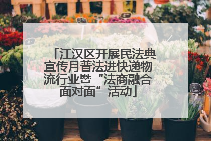 江汉区开展民法典宣传月普法进快递物流行业暨“法商融合面对面”活动