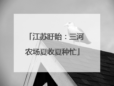 江苏盱眙：三河农场夏收夏种忙