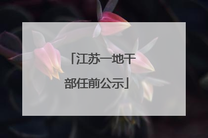 江苏一地干部任前公示