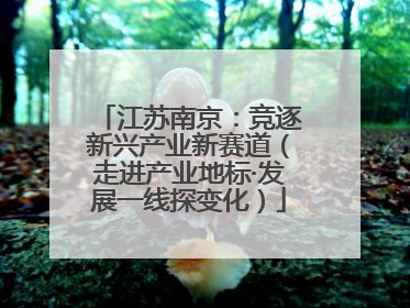 江苏南京：竞逐新兴产业新赛道（走进产业地标·发展一线探变化）
