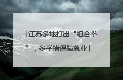 江苏多地打出“组合拳”，多举措保障就业