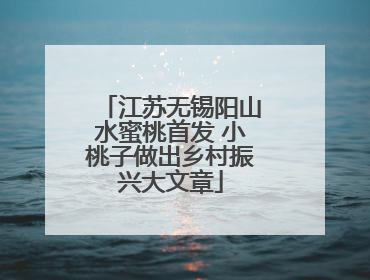 江苏无锡阳山水蜜桃首发 小桃子做出乡村振兴大文章