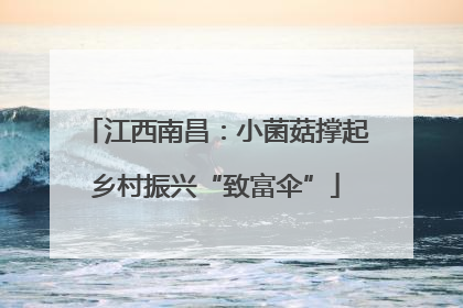 江西南昌：小菌菇撑起乡村振兴“致富伞”