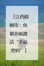 江西樟树市：鱼塘养殖激活“幸福密码”