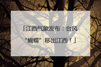 江西气象发布：台风“蝴蝶”移出江西！