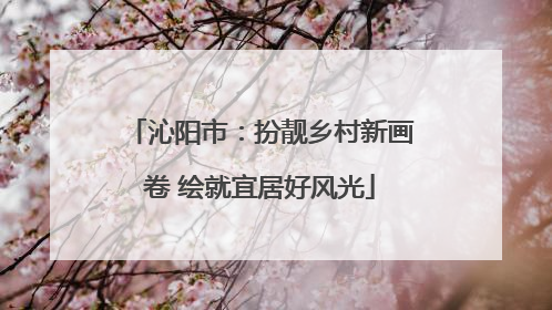 沁阳市：扮靓乡村新画卷 绘就宜居好风光