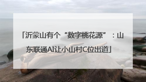 沂蒙山有个“数字桃花源”：山东联通AI让小山村C位出道