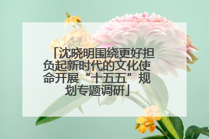 沈晓明围绕更好担负起新时代的文化使命开展“十五五”规划专题调研