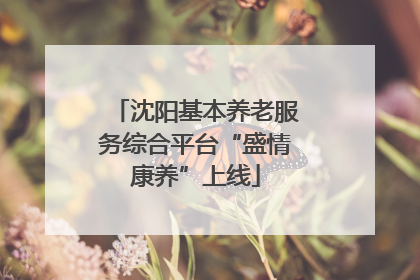 沈阳基本养老服务综合平台“盛情康养”上线