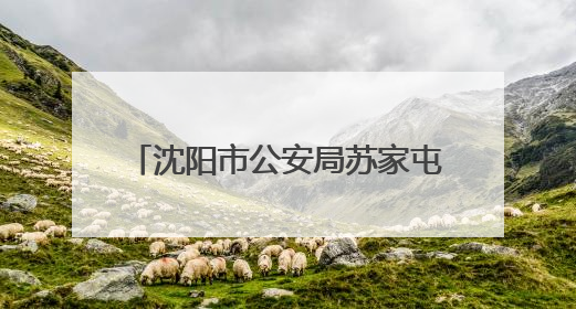沈阳市公安局苏家屯分局联合辽宁省图书馆举办反诈小课堂