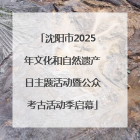 沈阳市2025年文化和自然遗产日主题活动暨公众考古活动季启幕