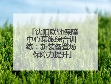 沈阳联勤保障中心某旅综合训练：新装备登场 保障力提升