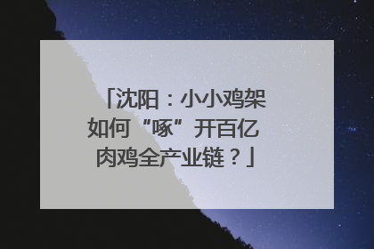 沈阳：小小鸡架如何“啄”开百亿肉鸡全产业链？