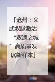 沧州：文武双脉激活“双遗之城”高质量发展新样本