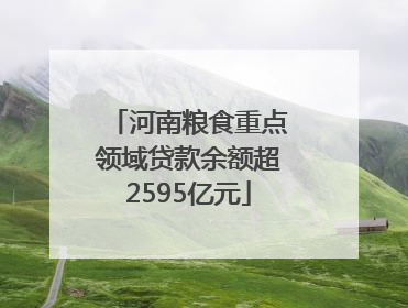 河南粮食重点领域贷款余额超2595亿元