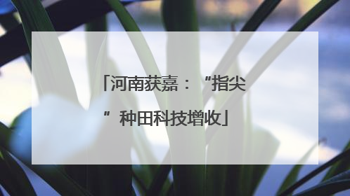 河南获嘉：“指尖”种田科技增收