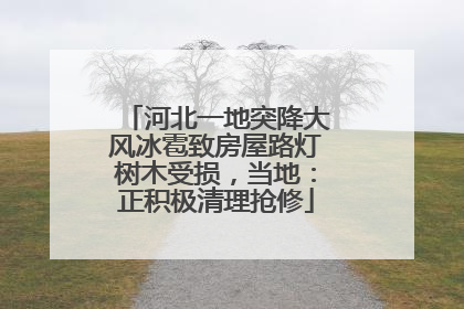 河北一地突降大风冰雹致房屋路灯树木受损，当地：正积极清理抢修