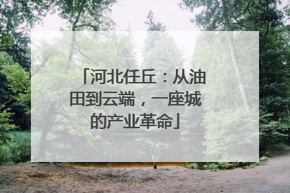 河北任丘：从油田到云端，一座城的产业革命
