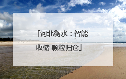 河北衡水：智能收储 颗粒归仓
