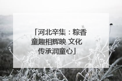 河北辛集：粽香童趣相辉映 文化传承润童心