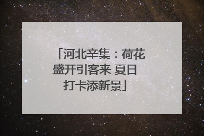 河北辛集：荷花盛开引客来 夏日打卡添新景