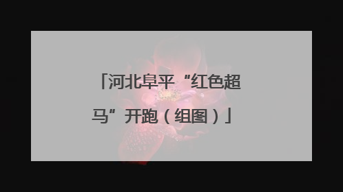 河北阜平“红色超马”开跑（组图）