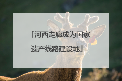 河西走廊成为国家遗产线路建设地