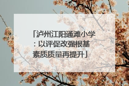泸州江阳通滩小学：以评促改强根基 素质质量再提升