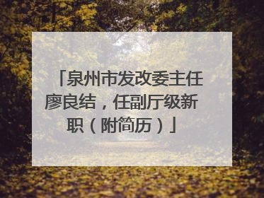 泉州市发改委主任廖良结，任副厅级新职（附简历）