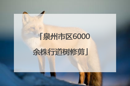 泉州市区6000余株行道树修剪