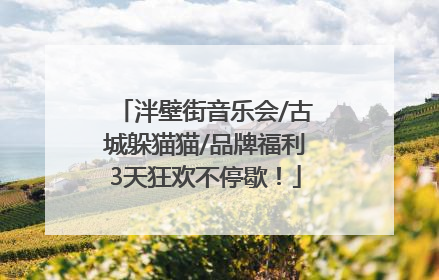 泮壁街音乐会/古城躲猫猫/品牌福利3天狂欢不停歇！