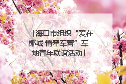 海口市组织“爱在椰城 情牵军营”军地青年联谊活动