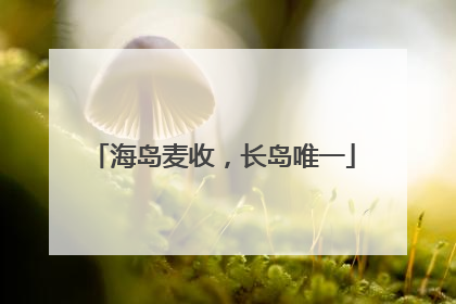 海岛麦收，长岛唯一