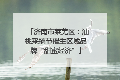 济南市莱芜区：油桃采摘节催生区域品牌“甜蜜经济”