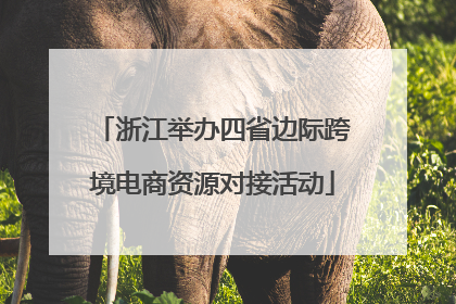 浙江举办四省边际跨境电商资源对接活动