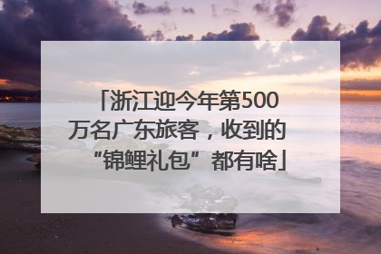 浙江迎今年第500万名广东旅客，收到的“锦鲤礼包”都有啥