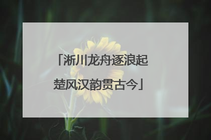 淅川龙舟逐浪起 楚风汉韵贯古今