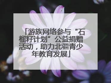 游族网络参与“石榴籽计划”公益捐赠活动，助力北疆青少年教育发展