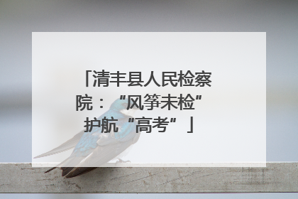 清丰县人民检察院：“风筝未检”护航“高考”