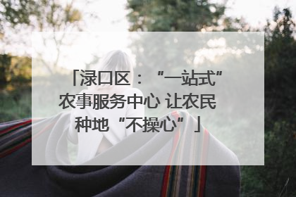 渌口区：“一站式”农事服务中心 让农民种地“不操心”