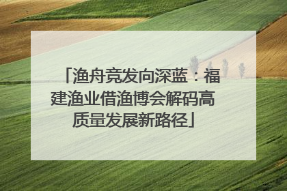 渔舟竞发向深蓝：福建渔业借渔博会解码高质量发展新路径