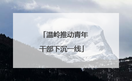 温岭推动青年干部下沉一线