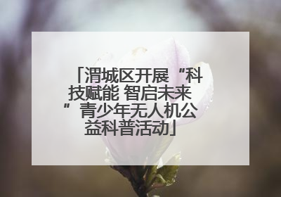 渭城区开展“科技赋能 智启未来”青少年无人机公益科普活动