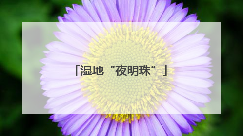 湿地“夜明珠”