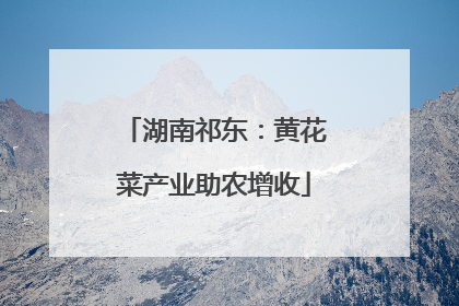湖南祁东：黄花菜产业助农增收